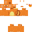 Charizard Skin 4