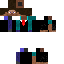 fancy steve Skin 6