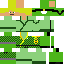 Green Ninja Skin 1