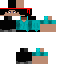 Custom Skin Skin 10