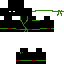 Green Ninja Skin 1