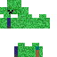 Creeper Skin 4