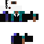 Gaster Skin 3