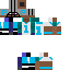 Cam Newton Skin 1