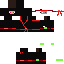 ninja Skin 3