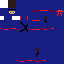 ninja Skin 1