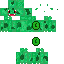 Bulbasaur Skin 8