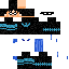 Nightwing Skin 3