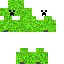 creeper Skin 4
