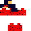 Ladybug Skin 6