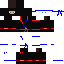 ninja Skin 1