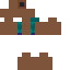 poop Skin 5