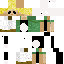 panda Skin 5
