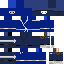 blue ninja Skin 1