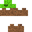 the dirt block disguise Skin 4