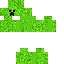 creeper skin Skin 4