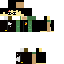 Harry Potter Skin 0