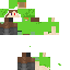 green hood Skin 3