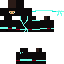 Ninja Skin 6