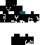 ss Skin 13