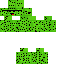 cactusboi Skin 8