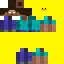Skeppy Duck Skin Skin 2