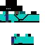 The cyan Ninja Skin 4