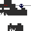 Entity Skin 0