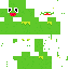 Kermit the Frog Skin 15