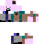 Notch Skin 1