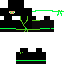 Ninja verde Skin 4