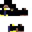 RichSteve Skin 5