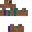 DIRT  Steve Skin 0