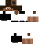 steve Skin 4