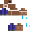 Snowy Steve Skin 6