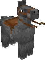 Gray Horse