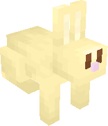 Gold Rabbit