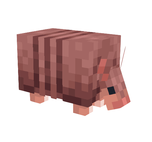 Armadillo