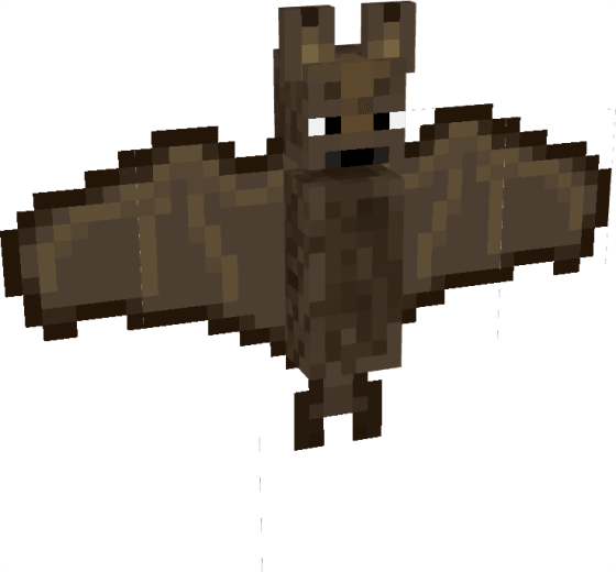 Bat