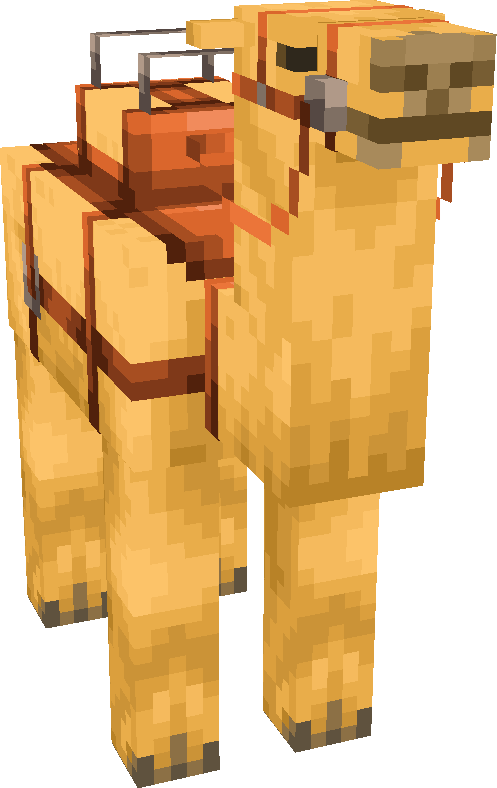 Camel
