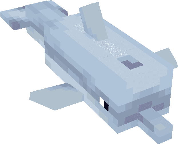 Dolphin