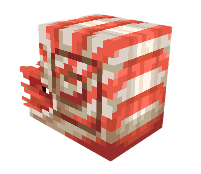 Nautilus