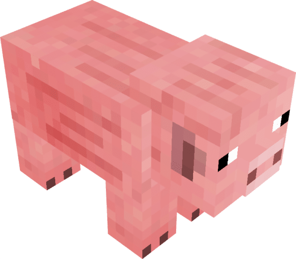 Pig