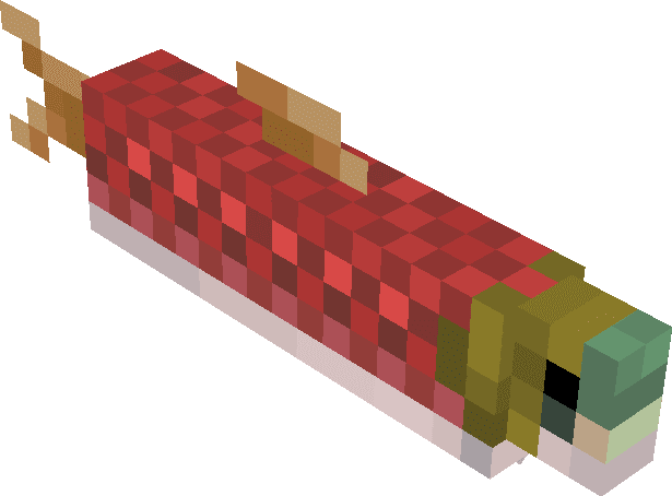 Salmon