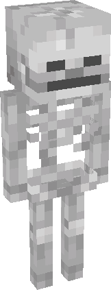 Skeleton