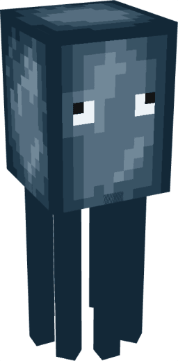 Squid