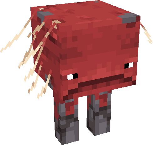 Strider