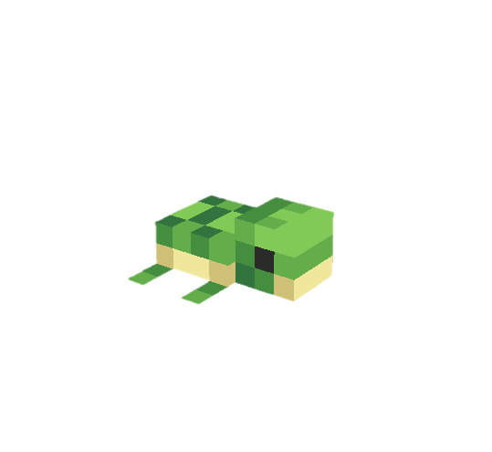 Turtle - Baby