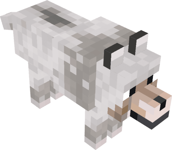 Wolf/Dog