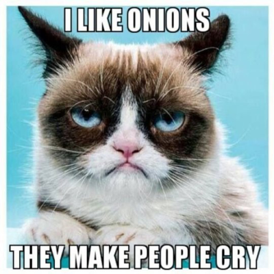 Grumpy Cat R I P 1 Tynker - grumpy cats vs meme doge roblox cats meme on me me